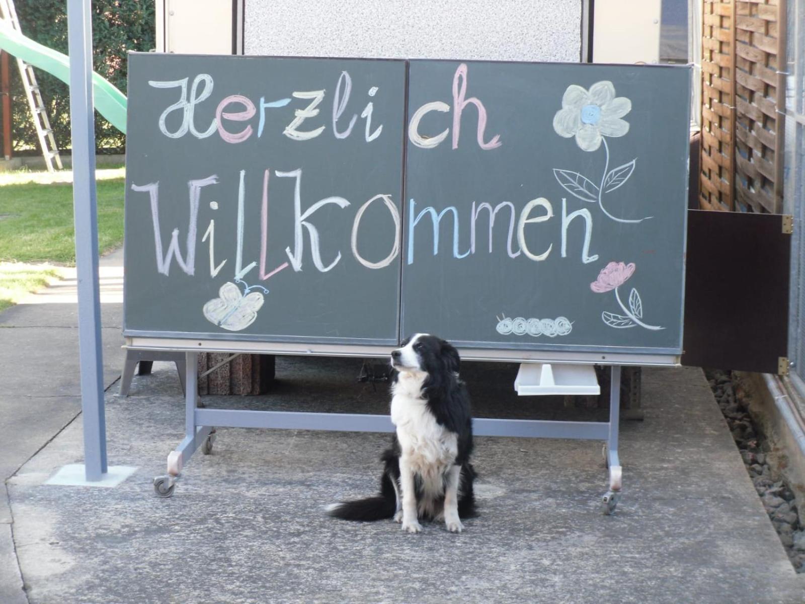 Ferienwohnwagen Rudolf Apartment Coswig  Luaran gambar